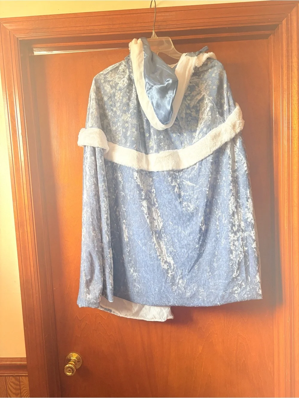 Light Blue Velvet Princess Costume Dress with White Faux Fur Trim